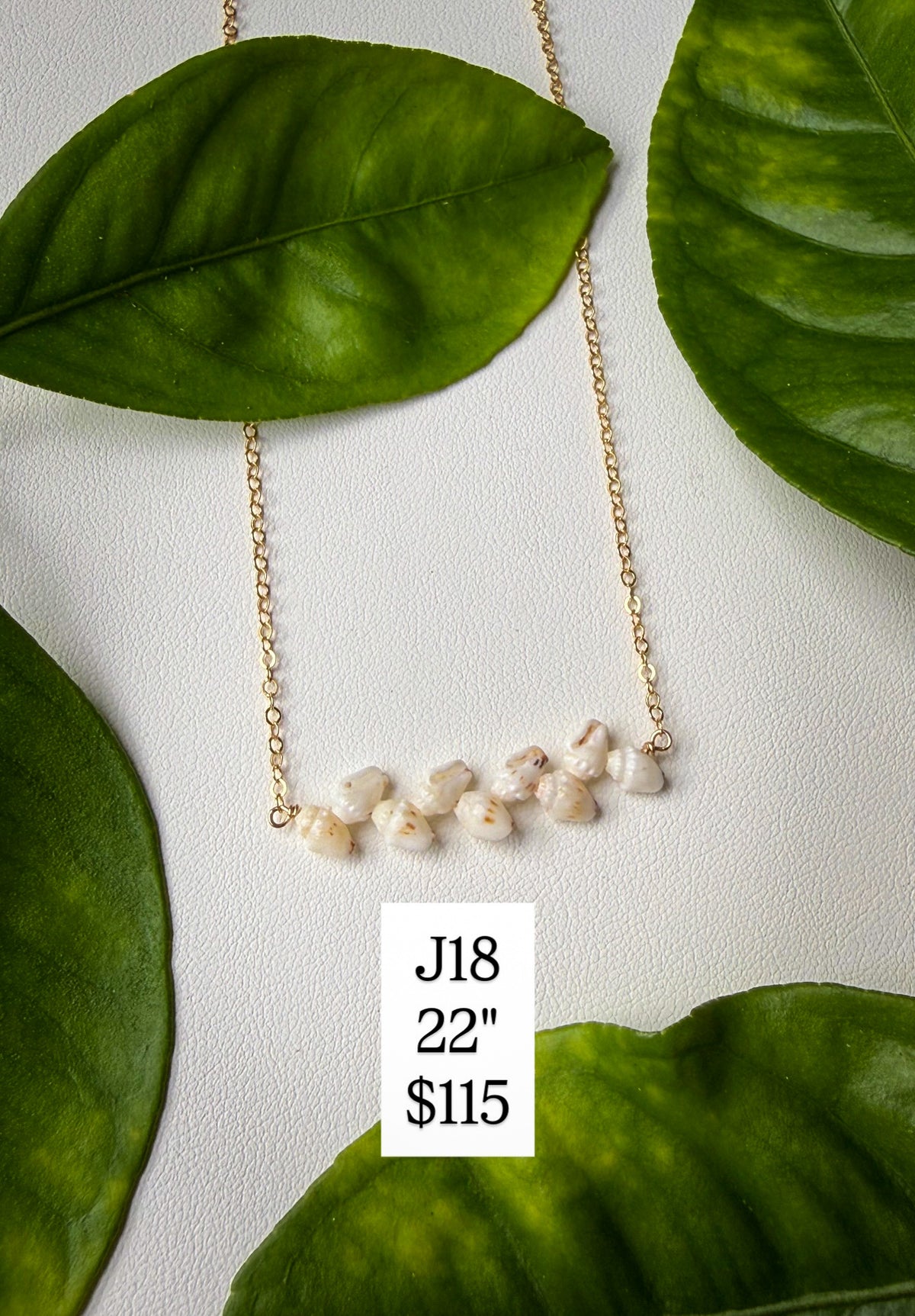 Niihau Momi Shell Necklace