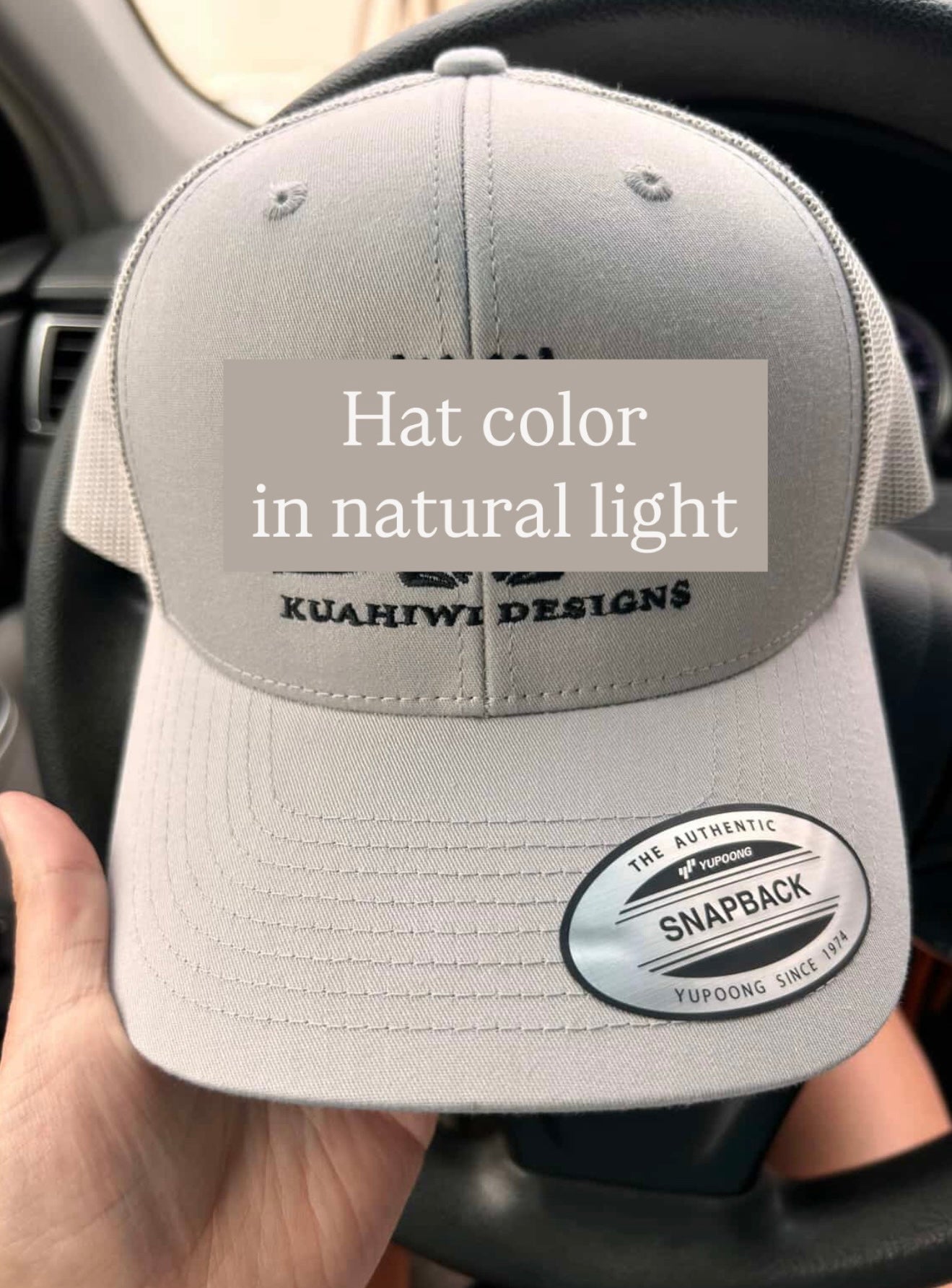 'Iwa Trucker Hat - Black Stitching on Silver