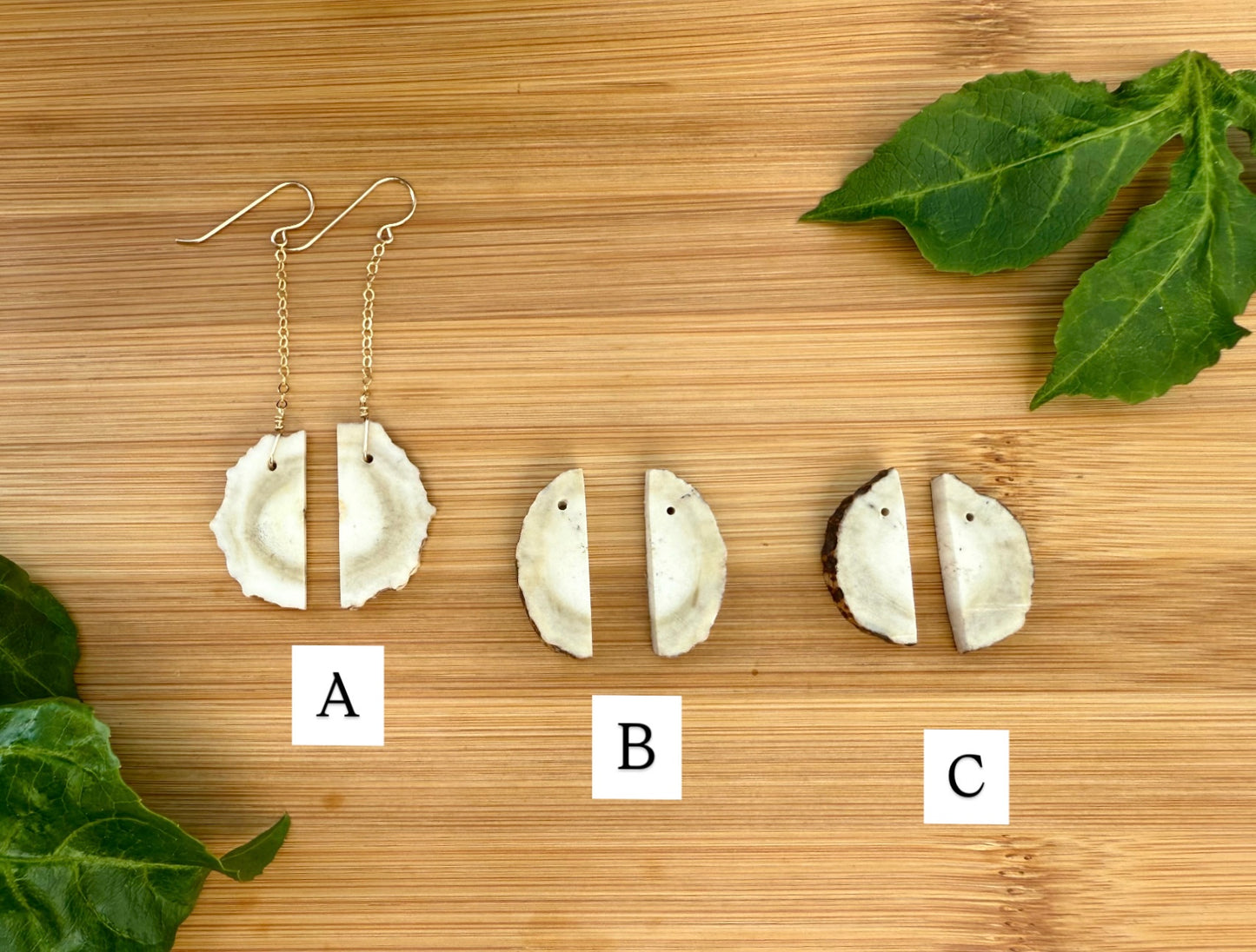 Mid-cut Antler Earrings