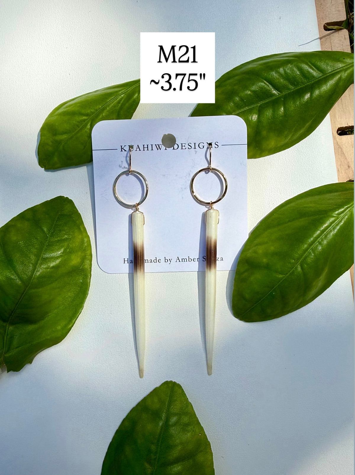 Porcupine Quill and Gold Hoops
