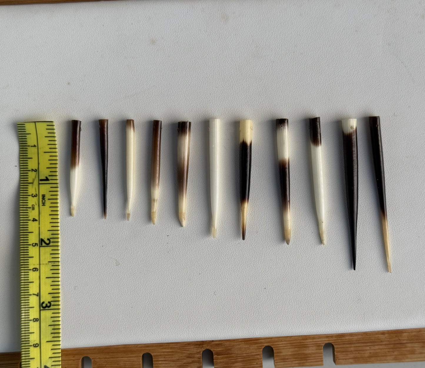 Porcupine Quills – Add-On Item (Requires Porcupine Necklace Purchase)
