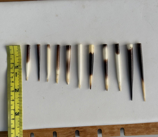 Porcupine Quills – Add-On Item (Requires Porcupine Necklace Purchase)