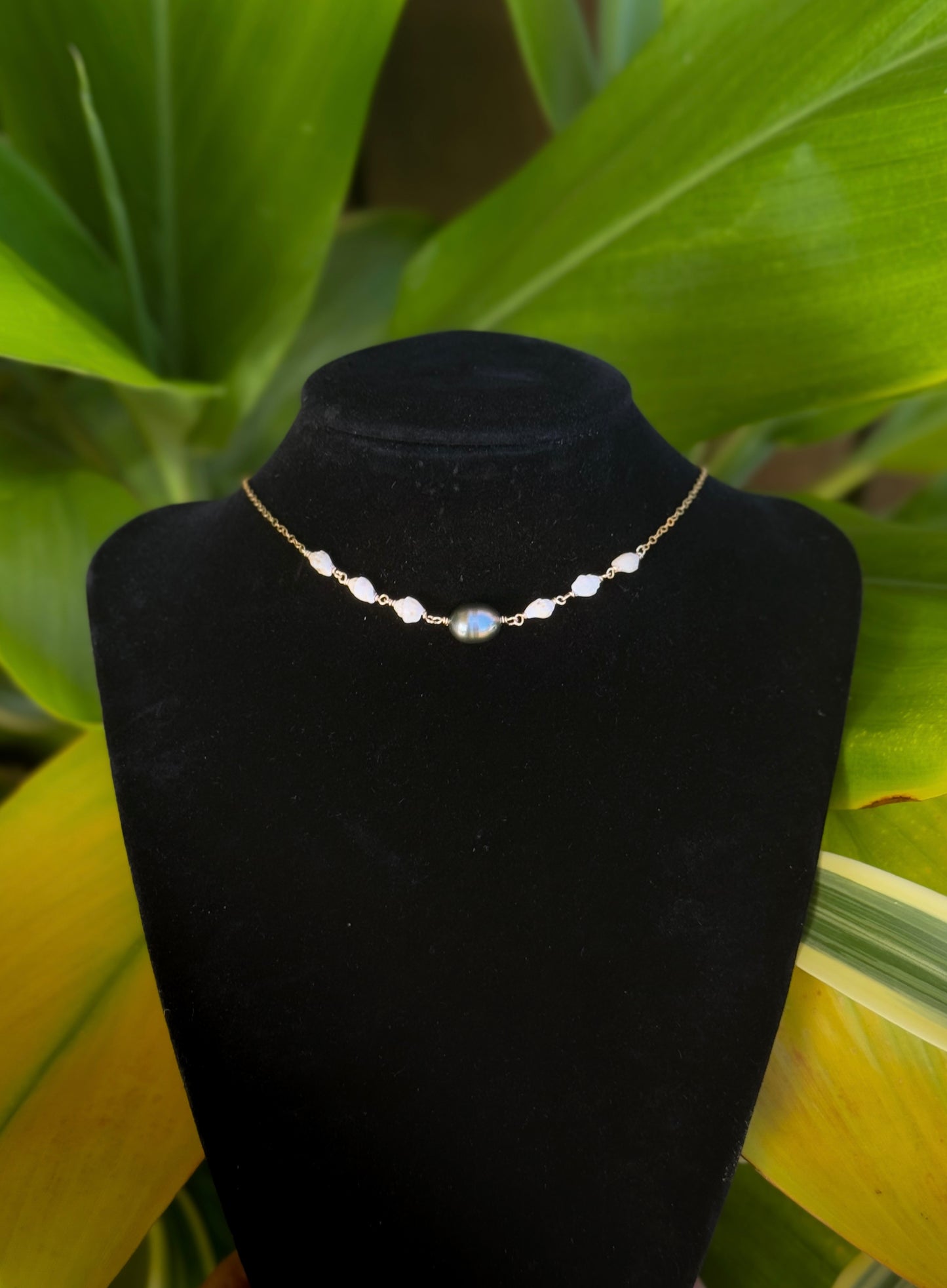 Niihau Momi Shell and Pearl Necklace