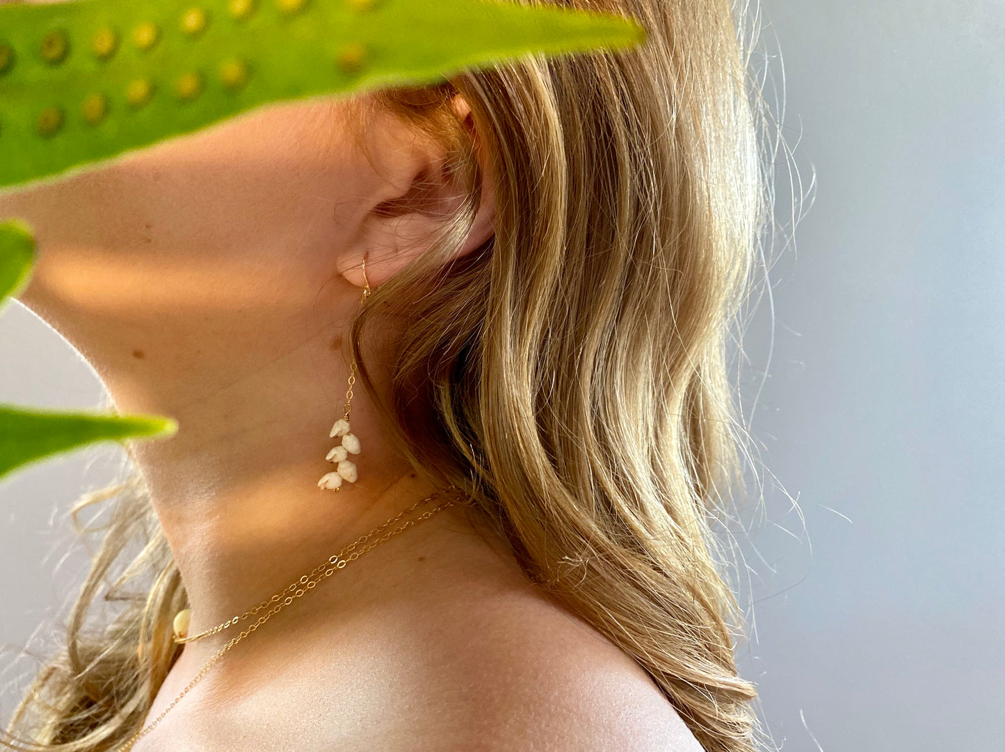 Niihau Momi Shell Earrings