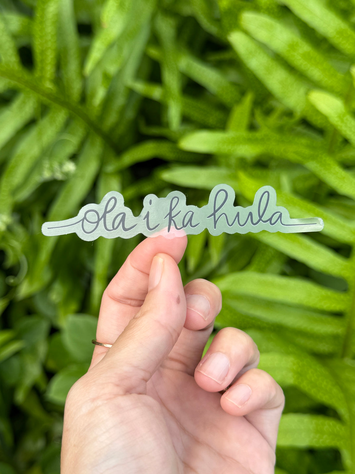 Ola I Ka Hula Sticker - Clear Stickers