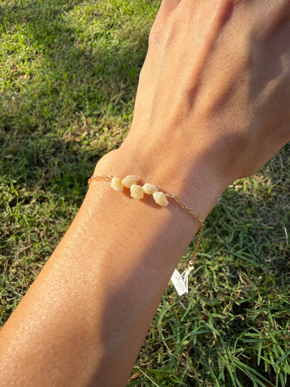 Kauai Momi Shell Bracelet