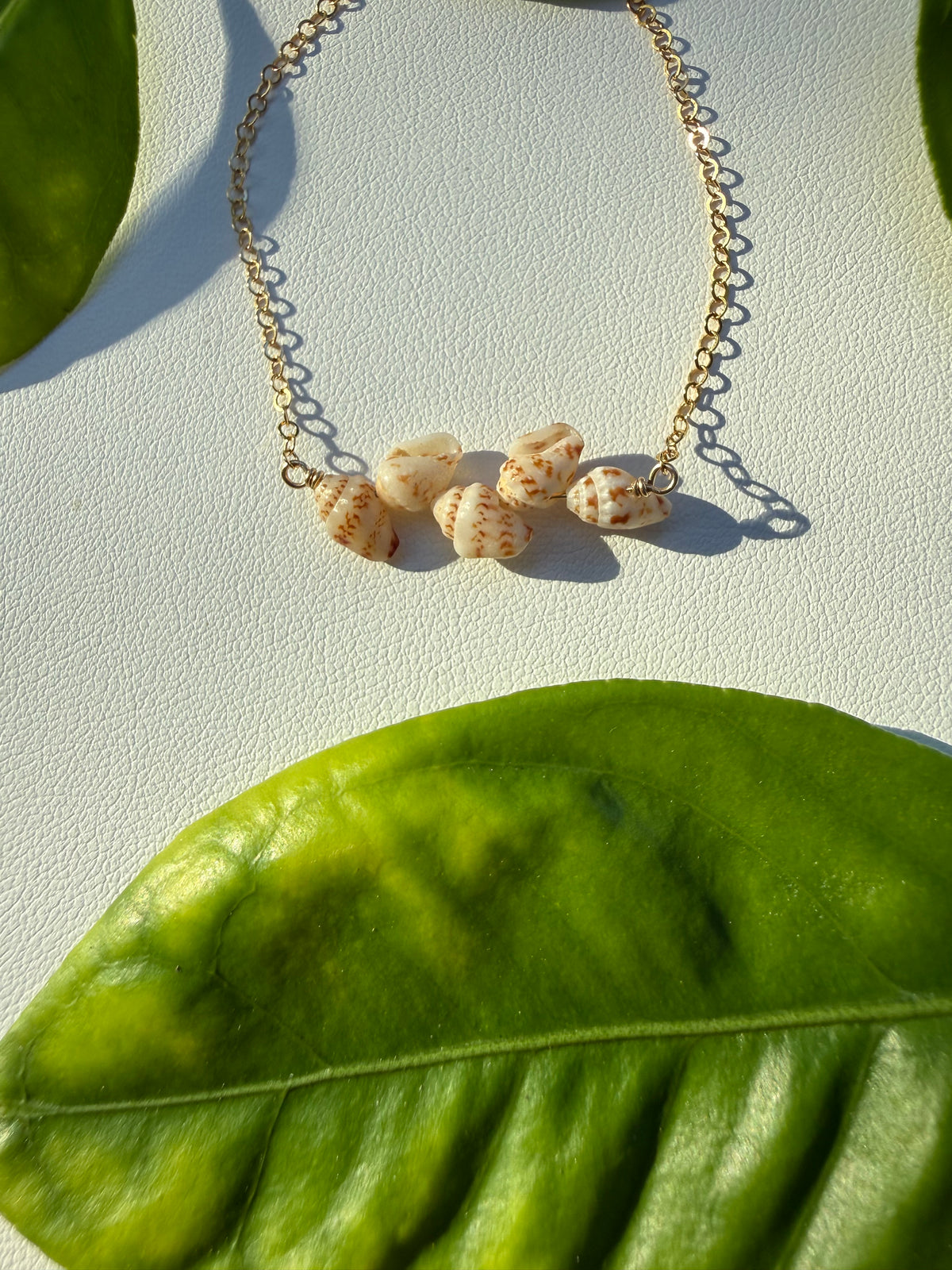 Kauai Momi Shell Bracelet