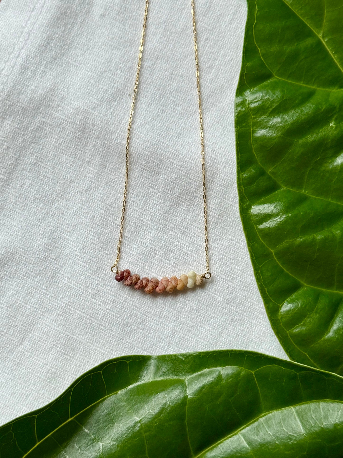 Ombre Kauai Kahelelani Necklace