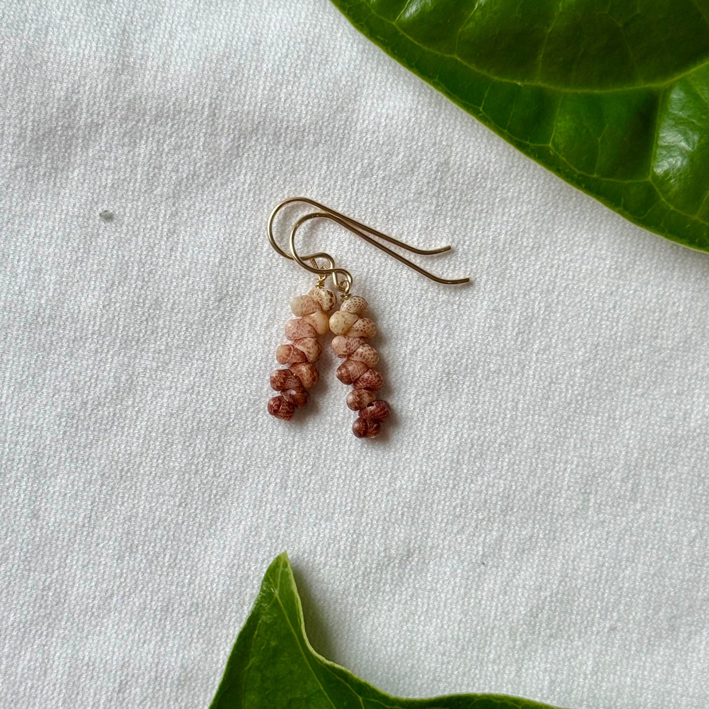 Ombre Kauai Kahelelani Earrings