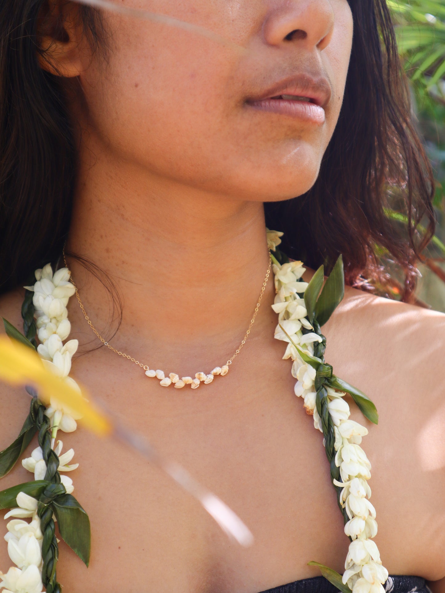 Niihau Momi Shell Necklace