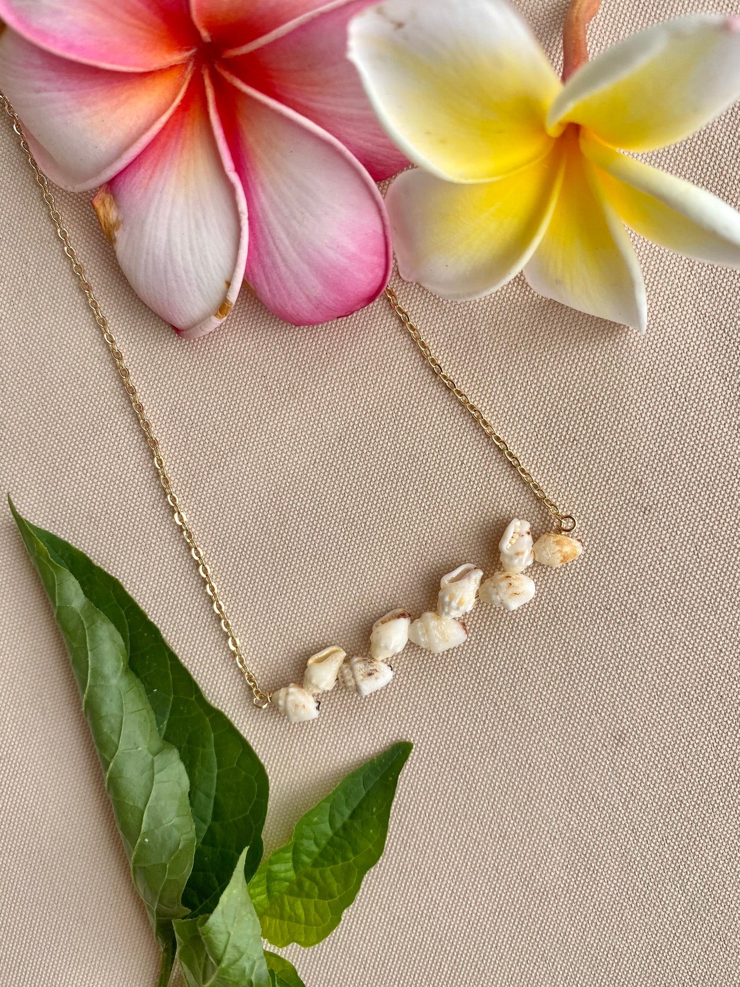 Niihau Momi Shell Necklace