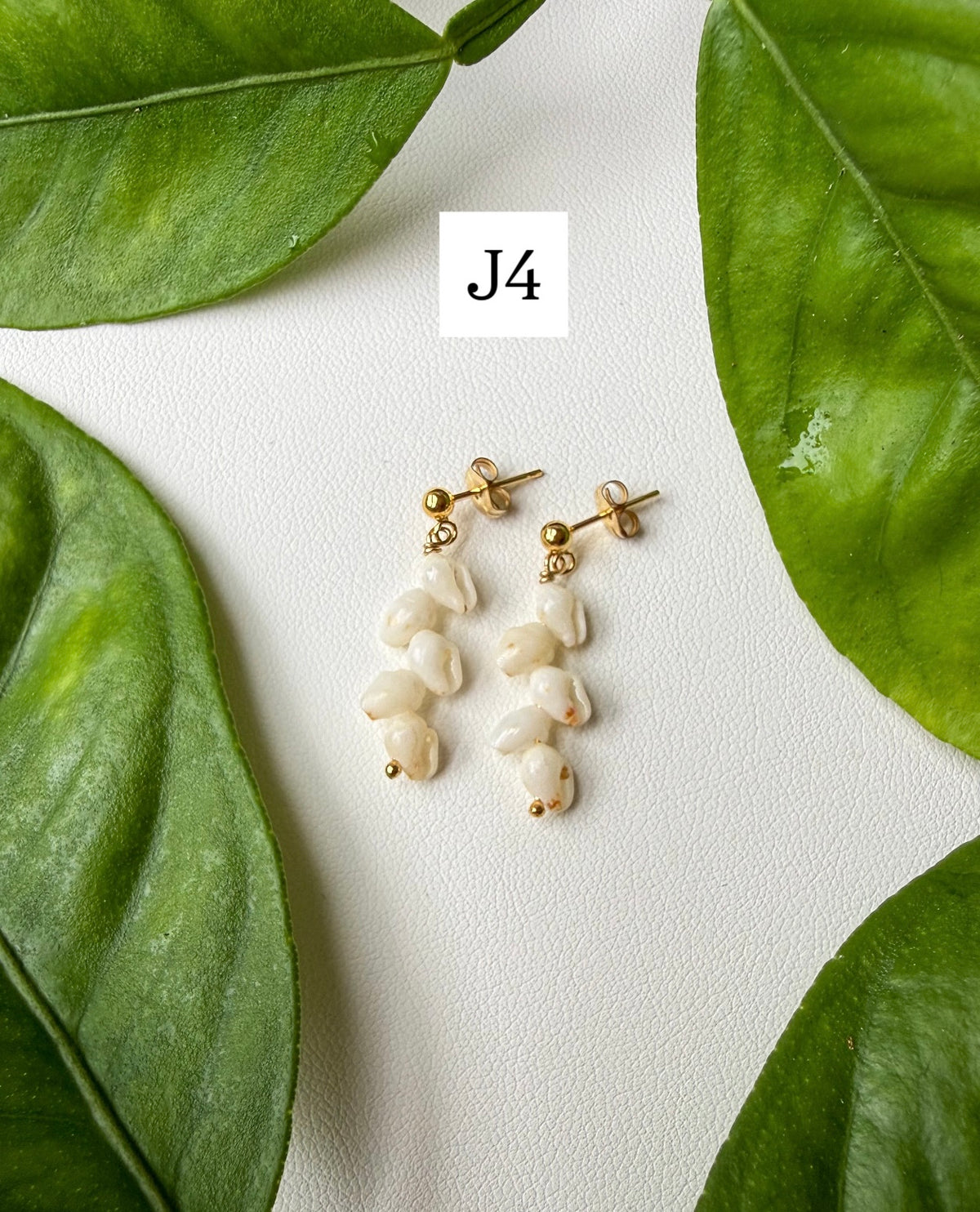 Niihau Momi Shell Earrings