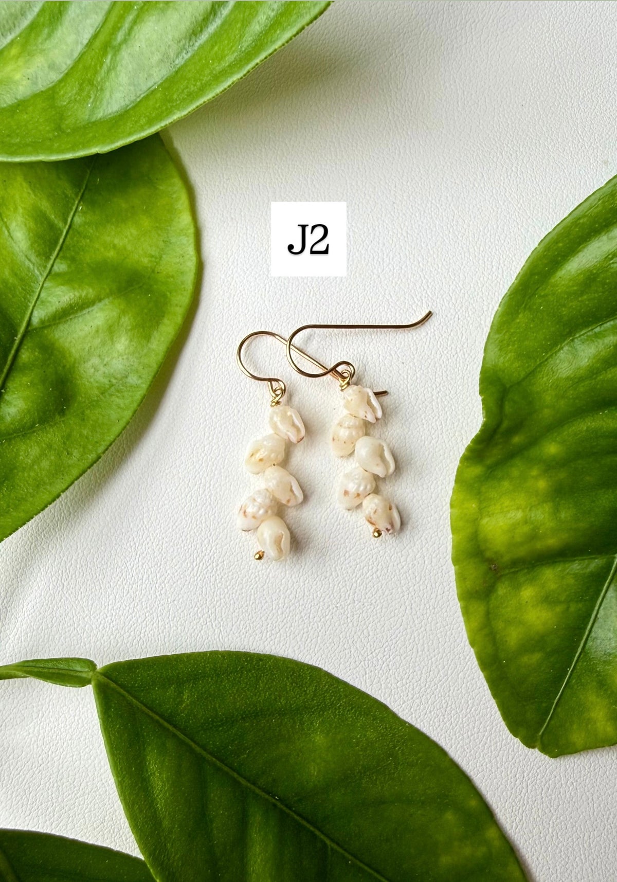 Niihau Momi Shell Earrings