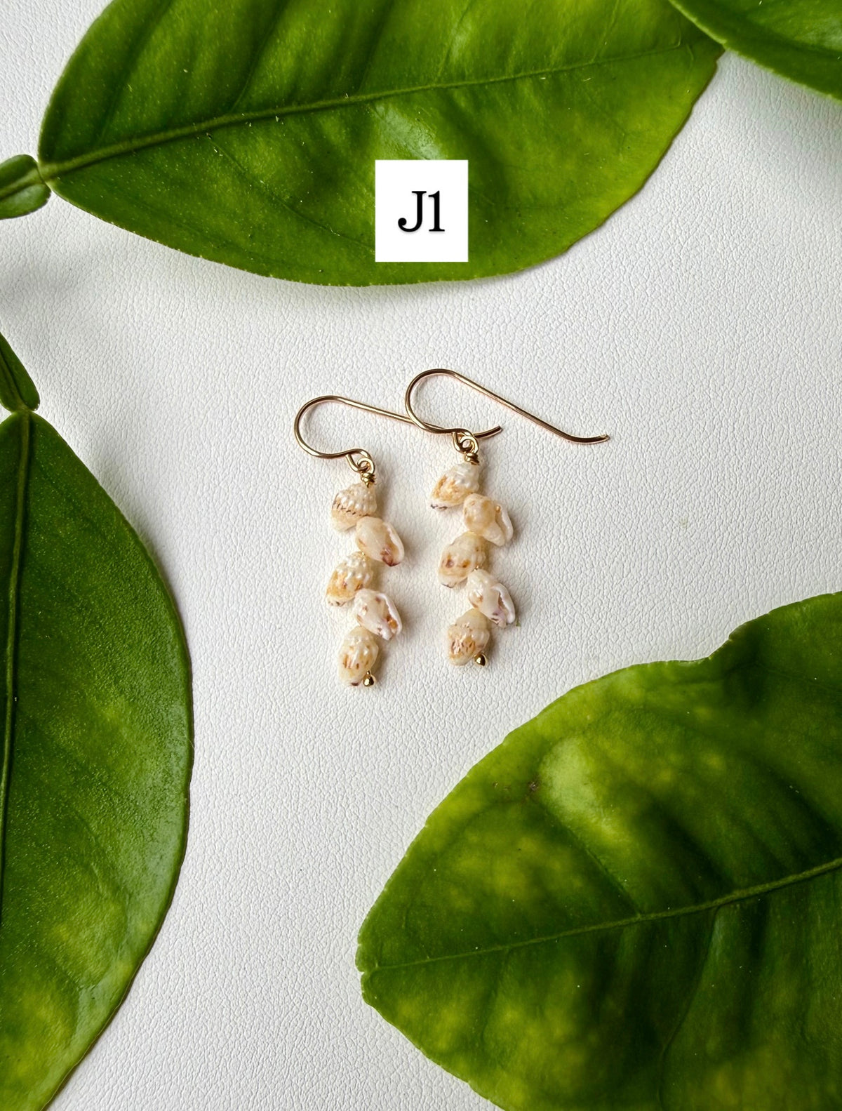 Niihau Momi Shell Earrings