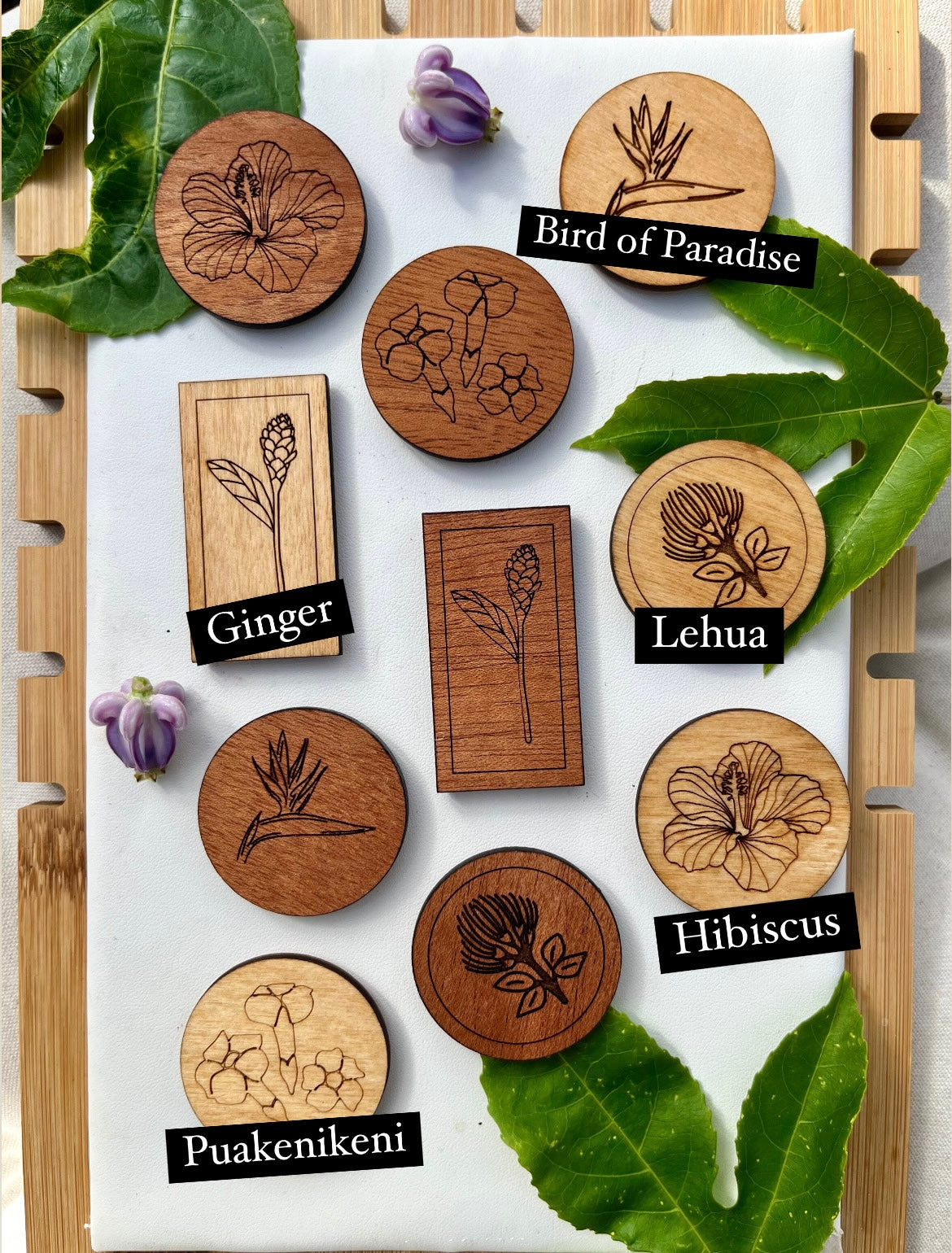 Hawaiian Flower Magnets