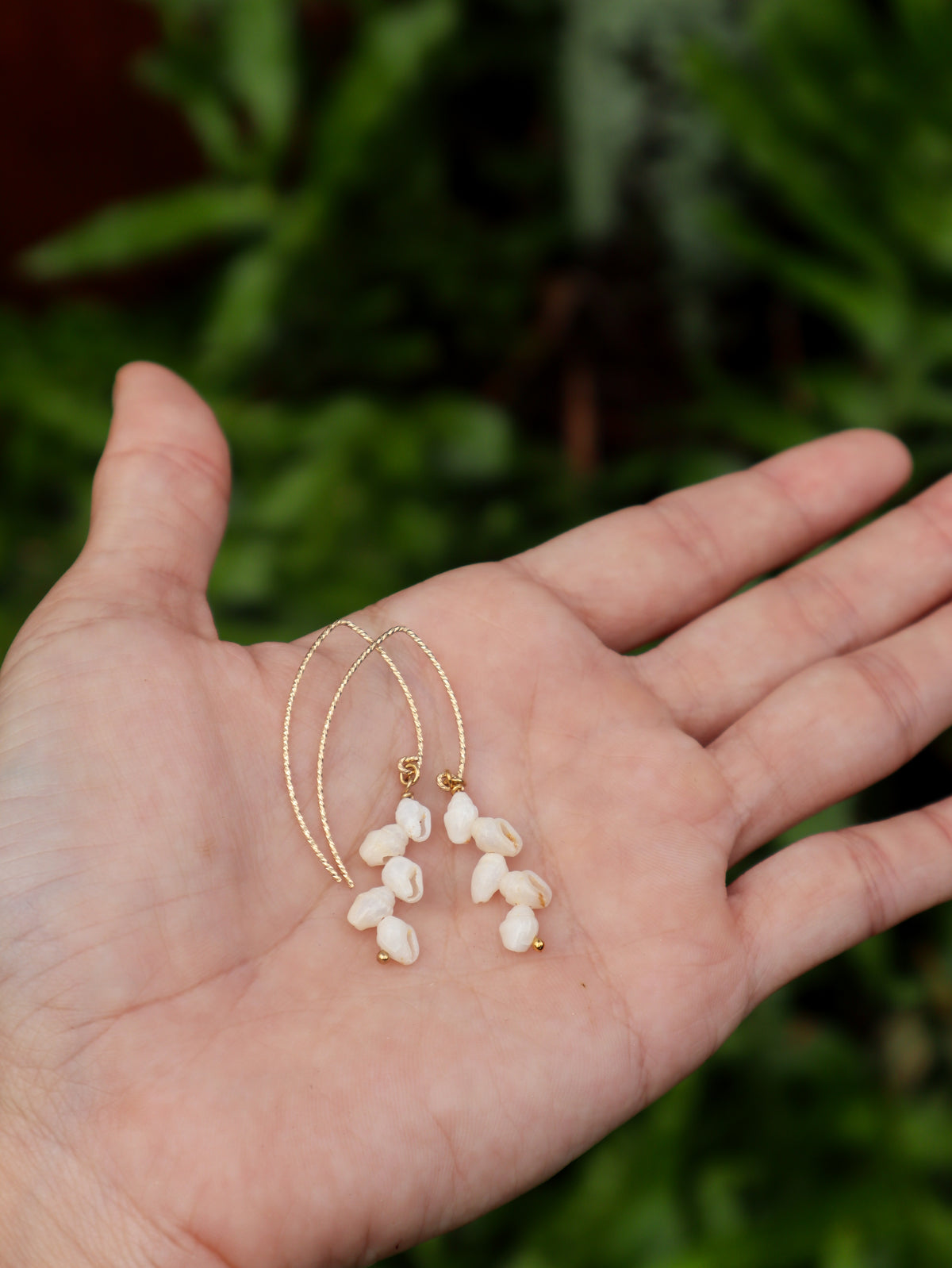 Niihau Momi Shell Earrings