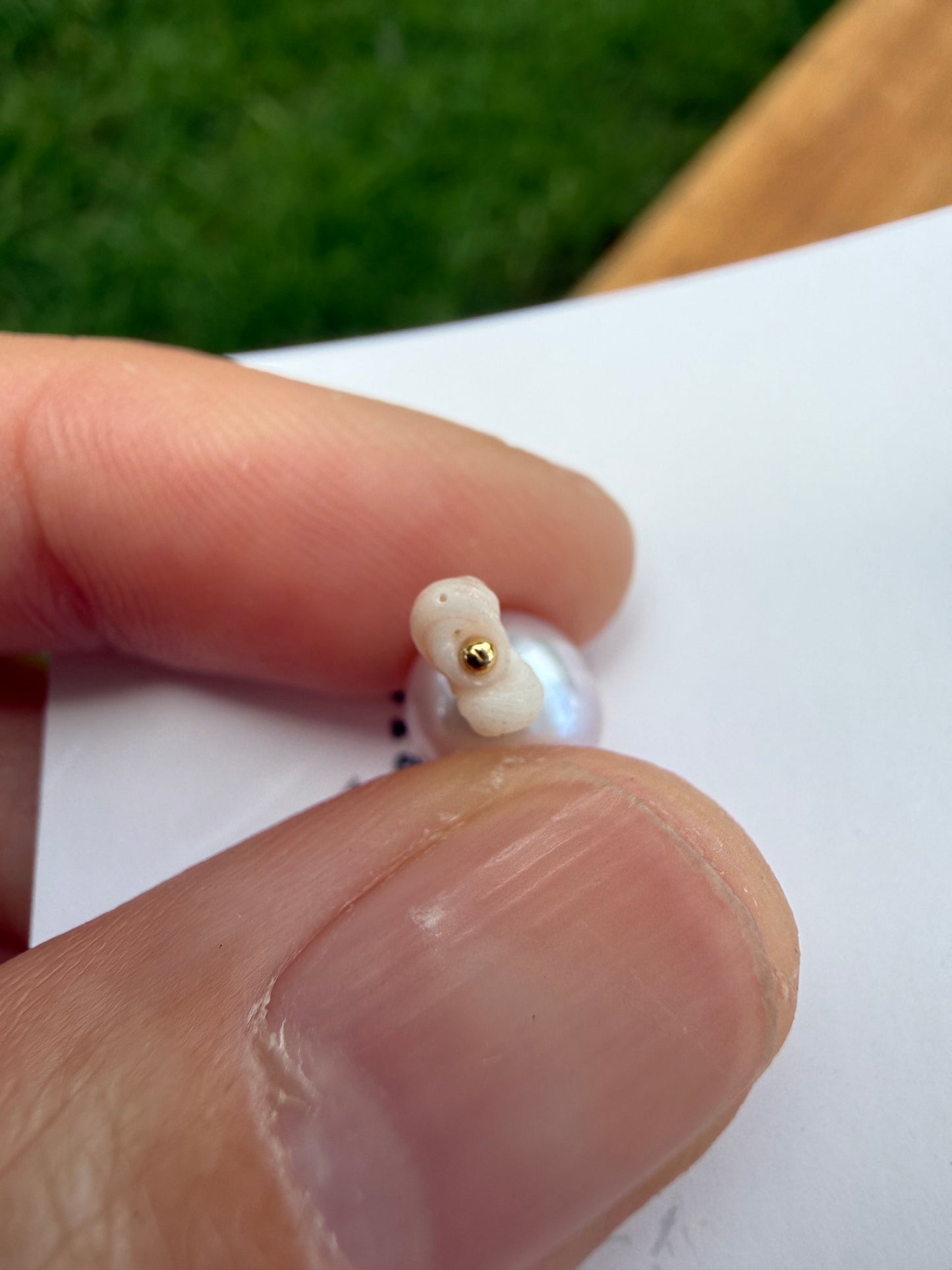 Flawed Pearl and Ni'ihau Kahelelani Earrings - Kala Mai Sale Item