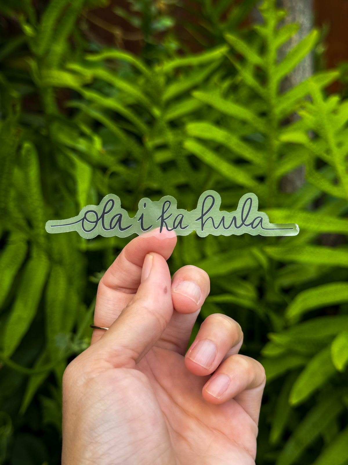 Ola I Ka Hula Sticker - Clear Stickers