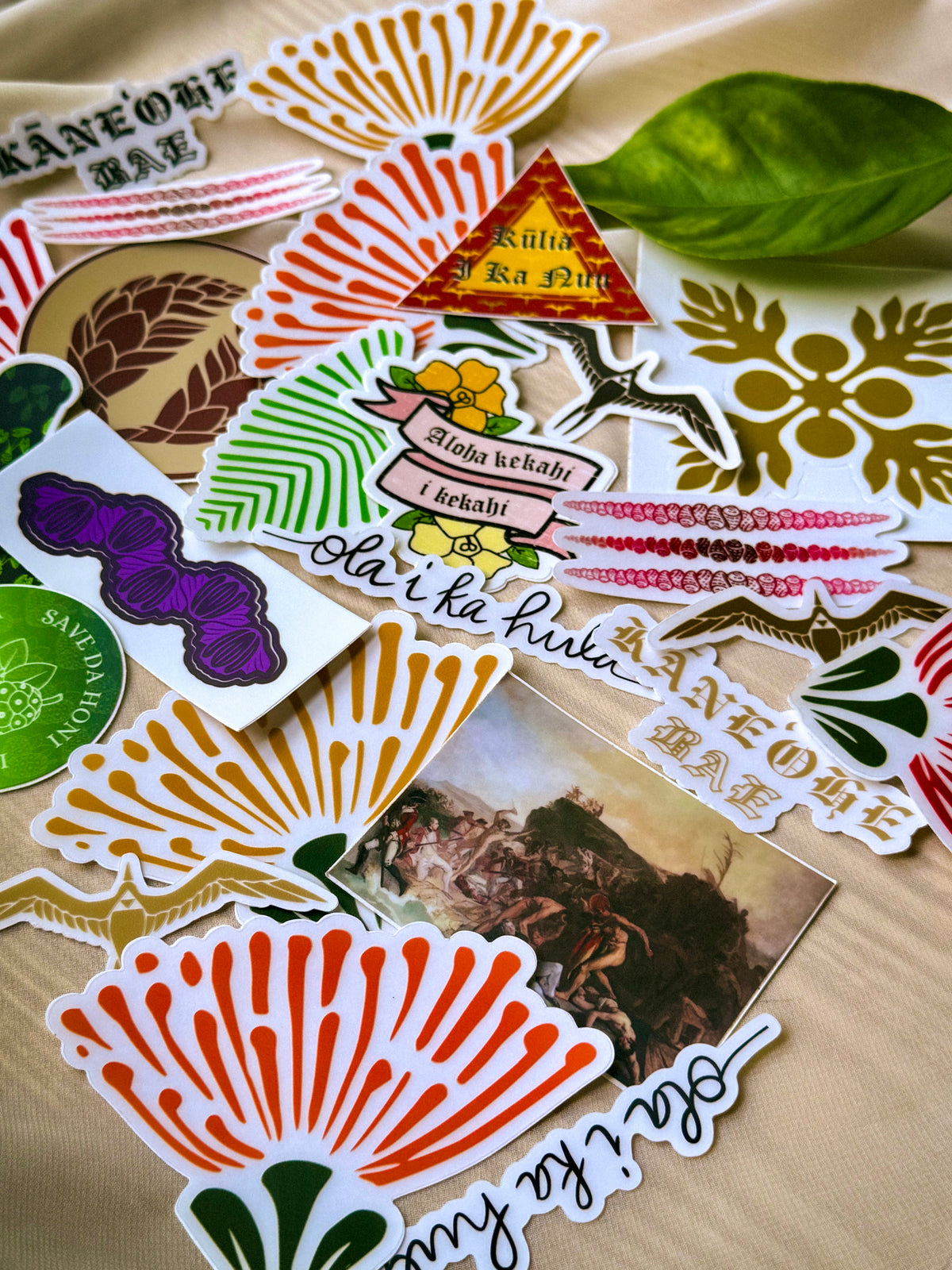 The Cook Out Sticker