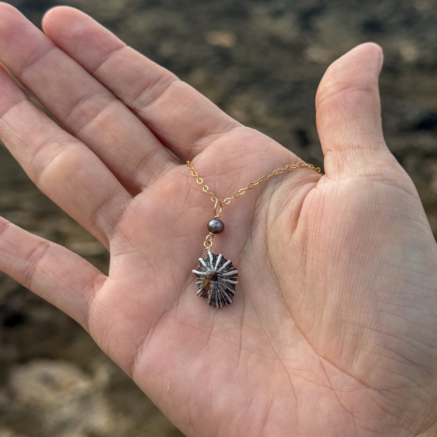 Opihi Awa and Mini Pearl Necklace