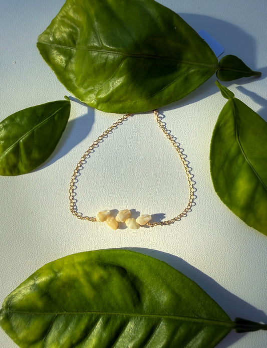 Kauai Momi Shell Bracelet