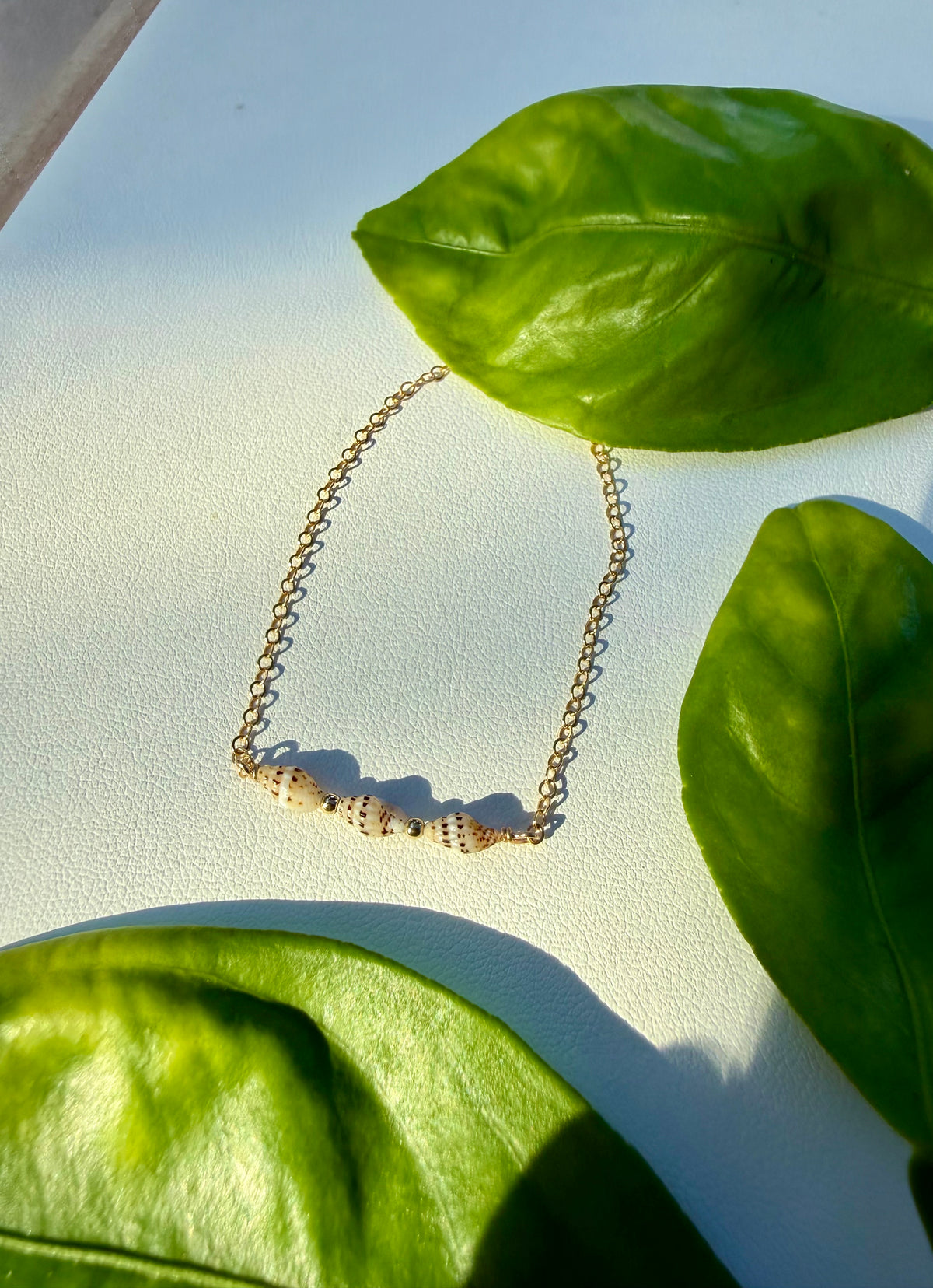Oahu Laiki Shell Bracelet