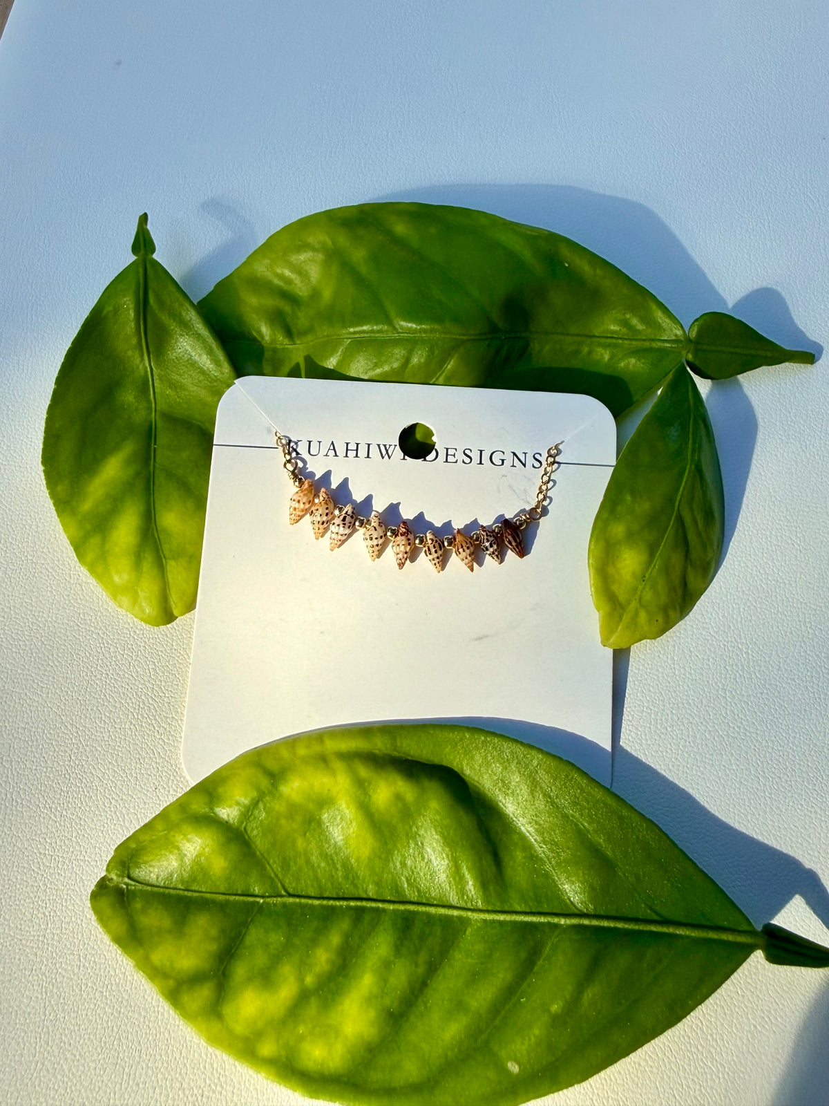 Oʻahu Laiki Shell Necklace