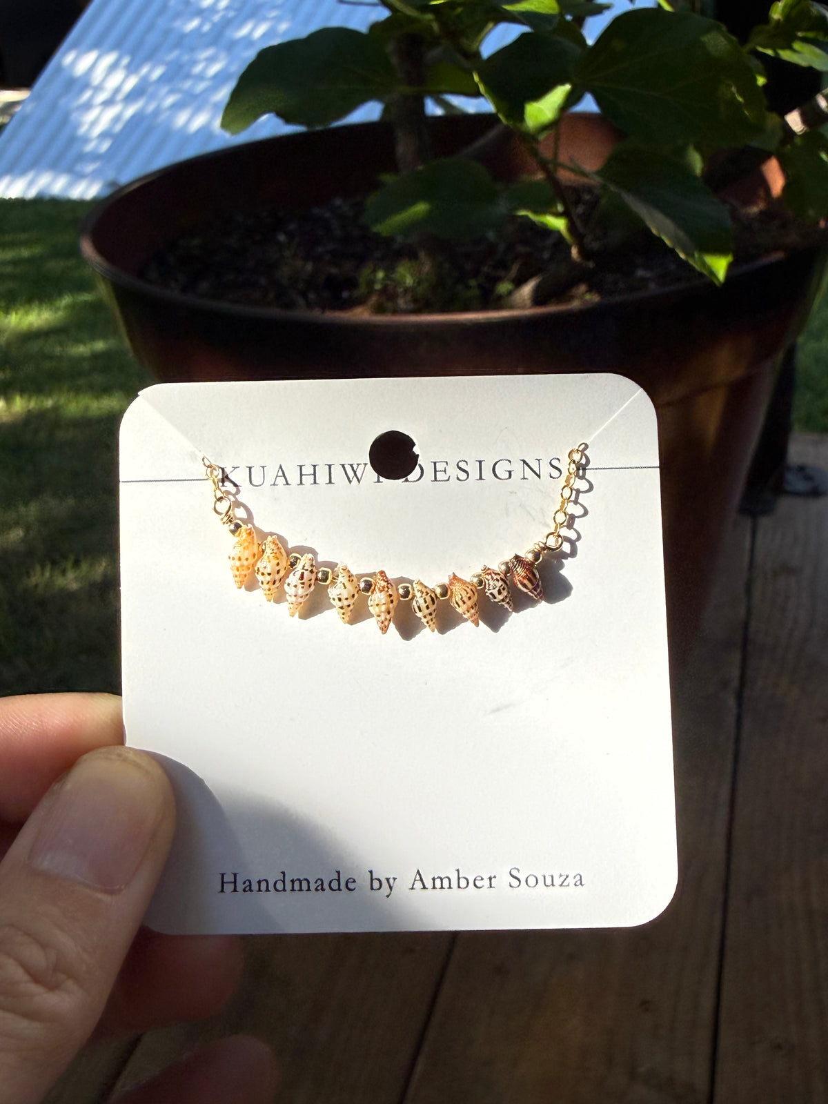 Oʻahu Laiki Shell Necklace