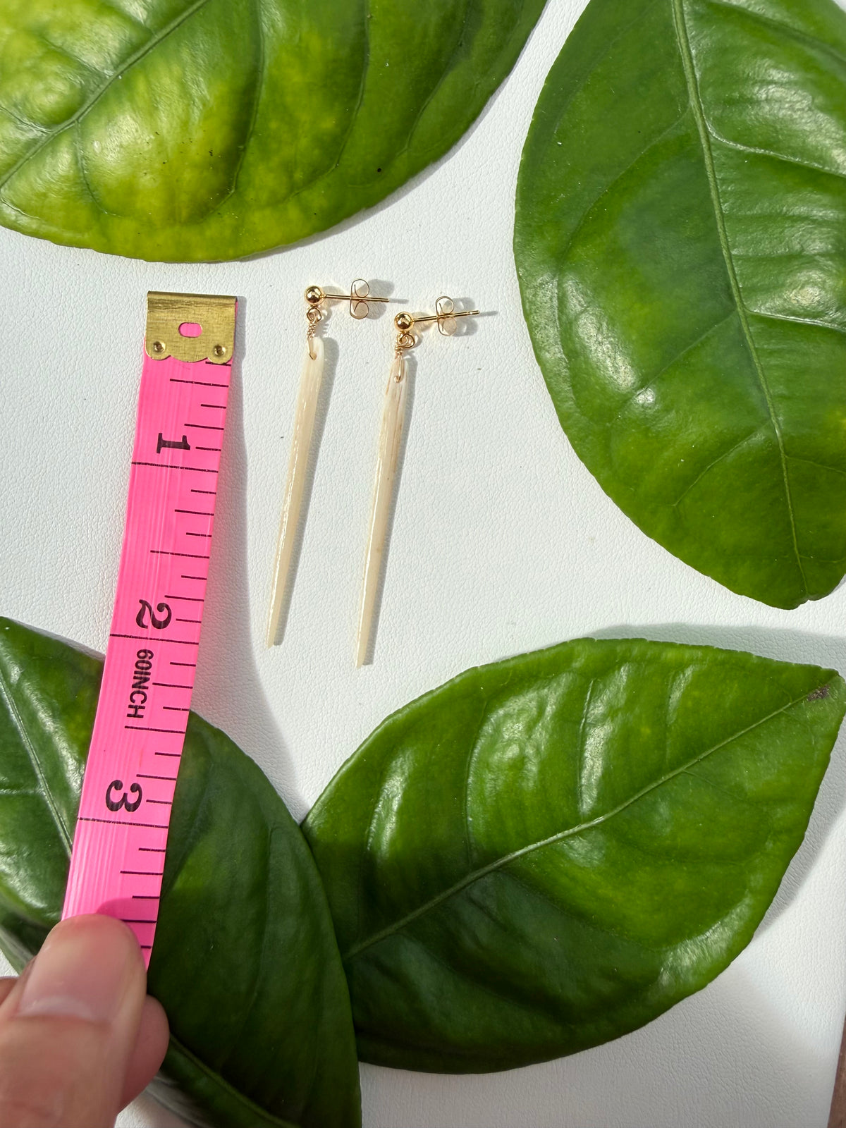 Stingray Stud Earrings