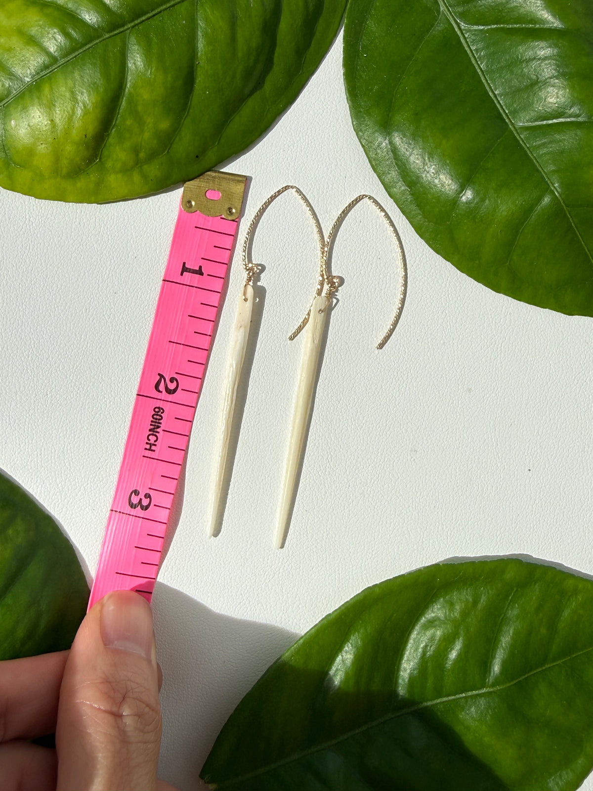 Stingray Earrings