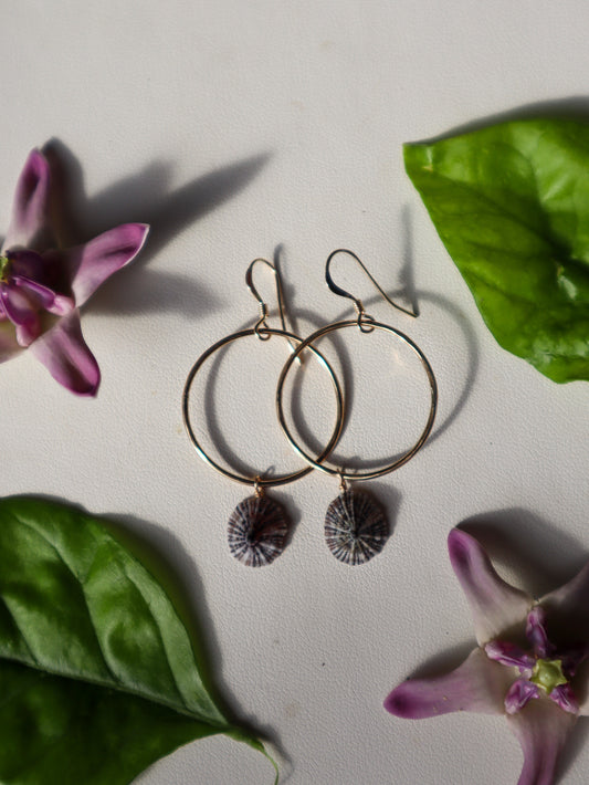 Opihi Awa Hoops