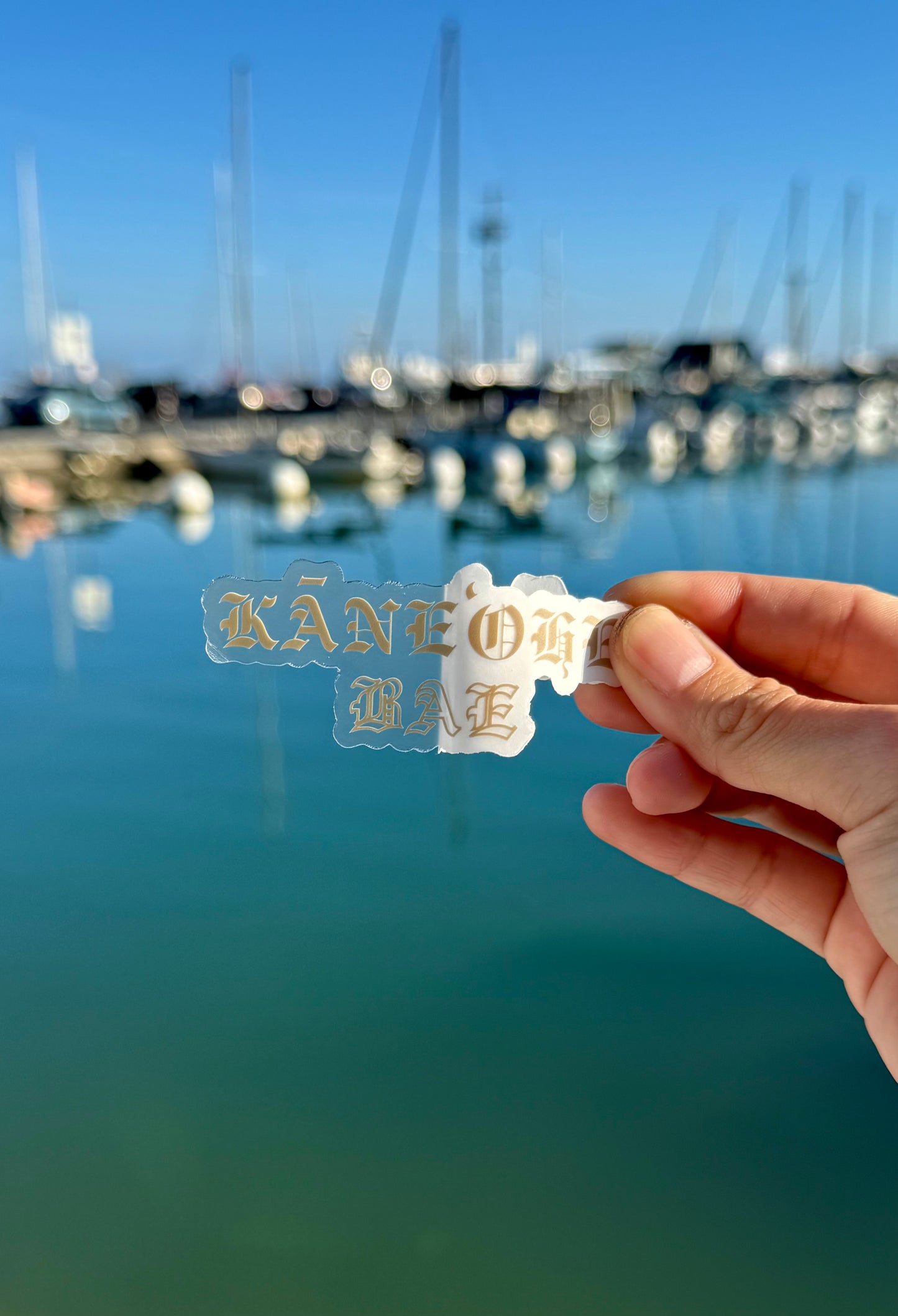 Kaneohe Bae Clear Sticker