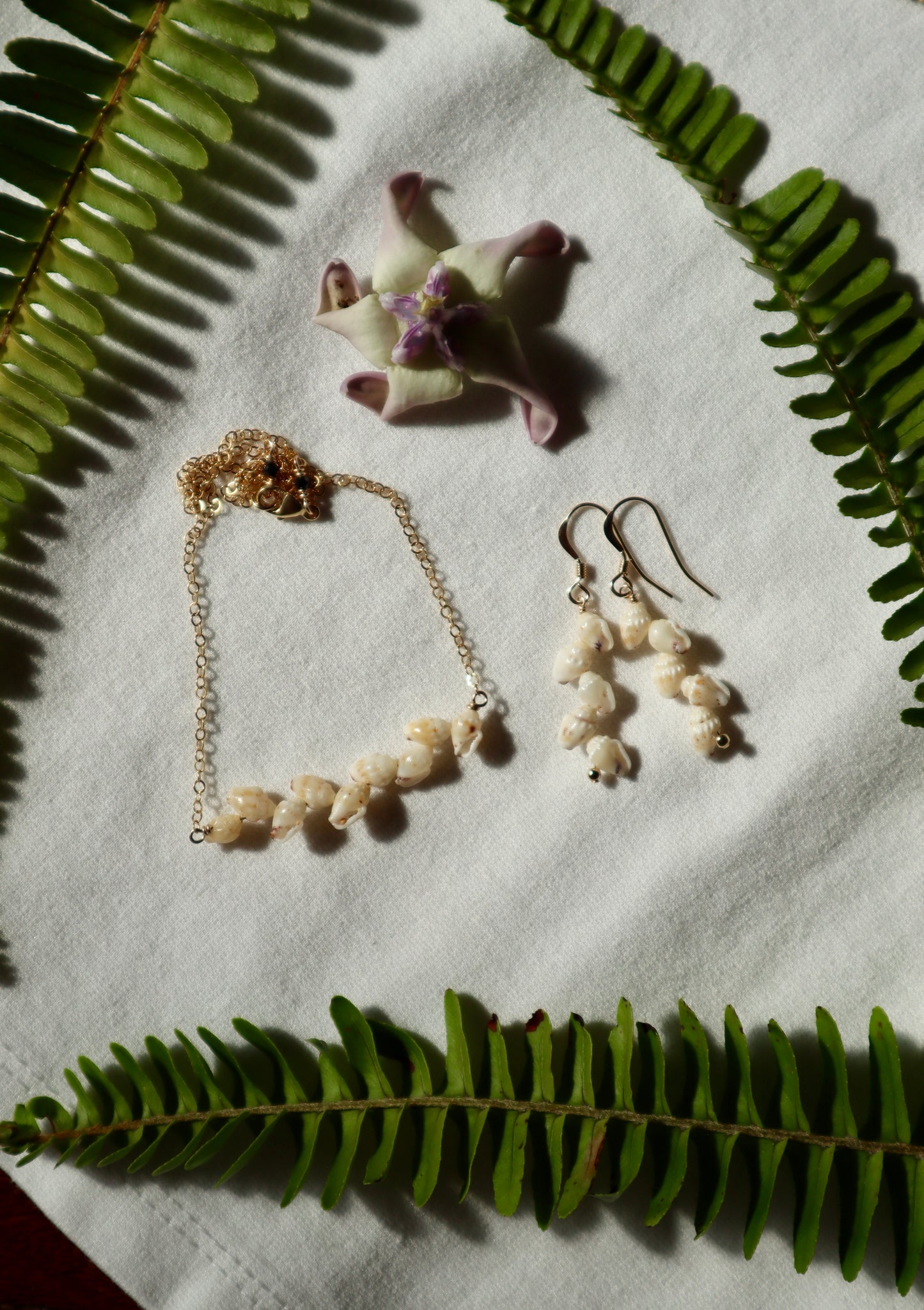 Niihau Momi Shell Earrings