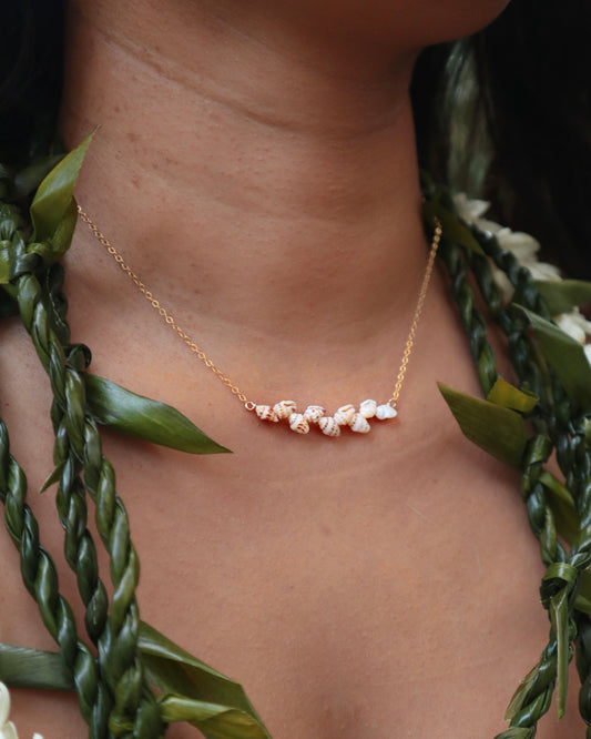 Kauai Momi Shell Necklace