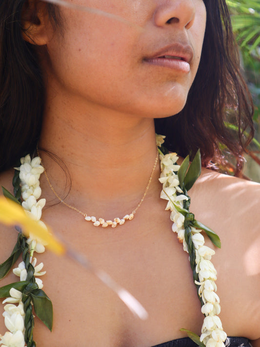 Niihau Momi Shell Necklace